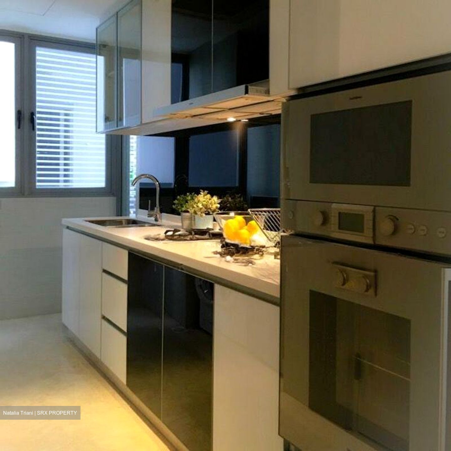 Angullia Park Residences @ Orchard (D10), Apartment #498097031